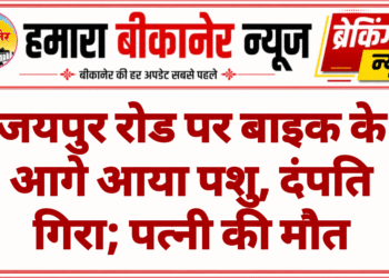 जयपुर रोड पर बाइक के आगे आया पशु, दंपति गिरा; पत्नी की मौत