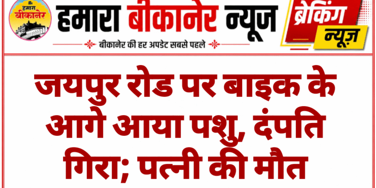 जयपुर रोड पर बाइक के आगे आया पशु, दंपति गिरा; पत्नी की मौत