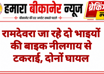 रामदेवरा जा रहे दो भाइयों की बाइक नीलगाय से टकराई, दोनों घायल