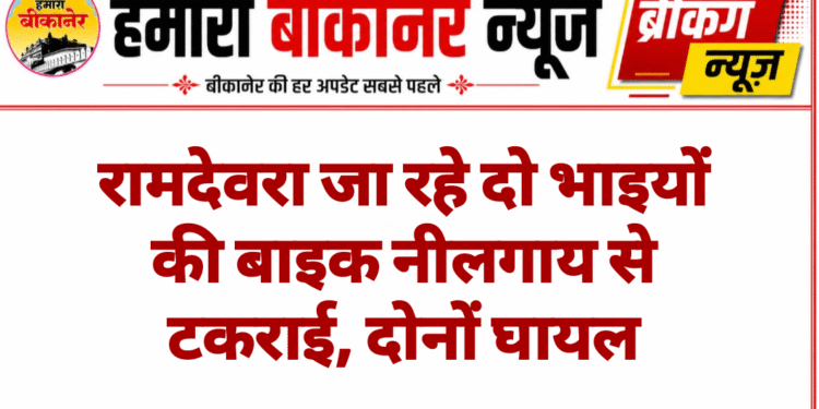 रामदेवरा जा रहे दो भाइयों की बाइक नीलगाय से टकराई, दोनों घायल