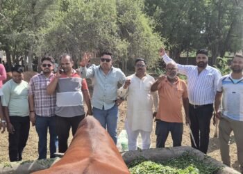 भूपेंद्र सैनी के जन्मदिवस पर टीम भूपेंद्र सैनी ने किया गौसेवा का पुनीत कार्य, दीर्घायु की कामना की
