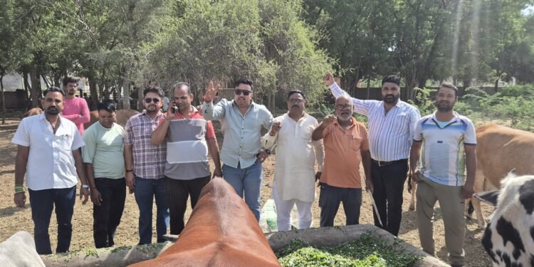भूपेंद्र सैनी के जन्मदिवस पर टीम भूपेंद्र सैनी ने किया गौसेवा का पुनीत कार्य, दीर्घायु की कामना की